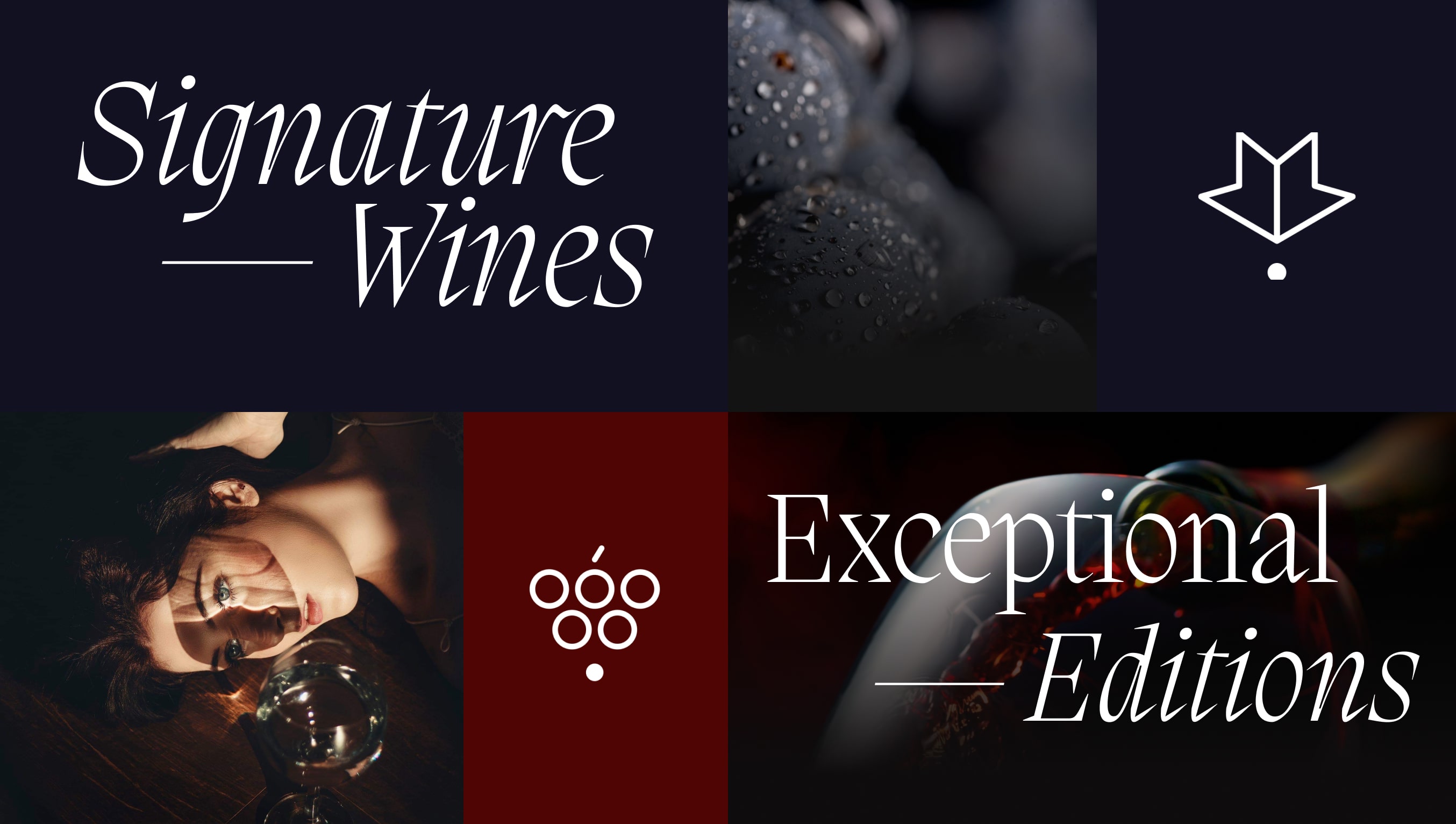 Araex Grands is a business group of independent winemakers and wineries that gathers family wineries from the most prestigious Designations of Origin in Spain and has been bringing the best Spanish wine to the world for more than 25 years.
