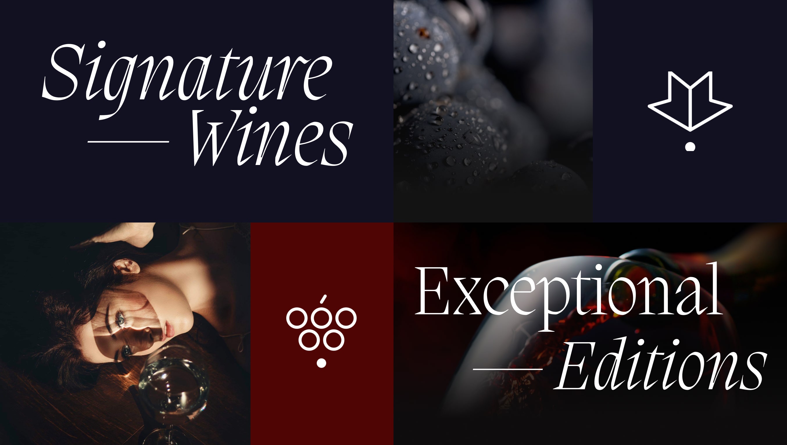 Araex Grands is a business group of independent winemakers and wineries that gathers family wineries from the most prestigious Designations of Origin in Spain and has been bringing the best Spanish wine to the world for more than 25 years.
