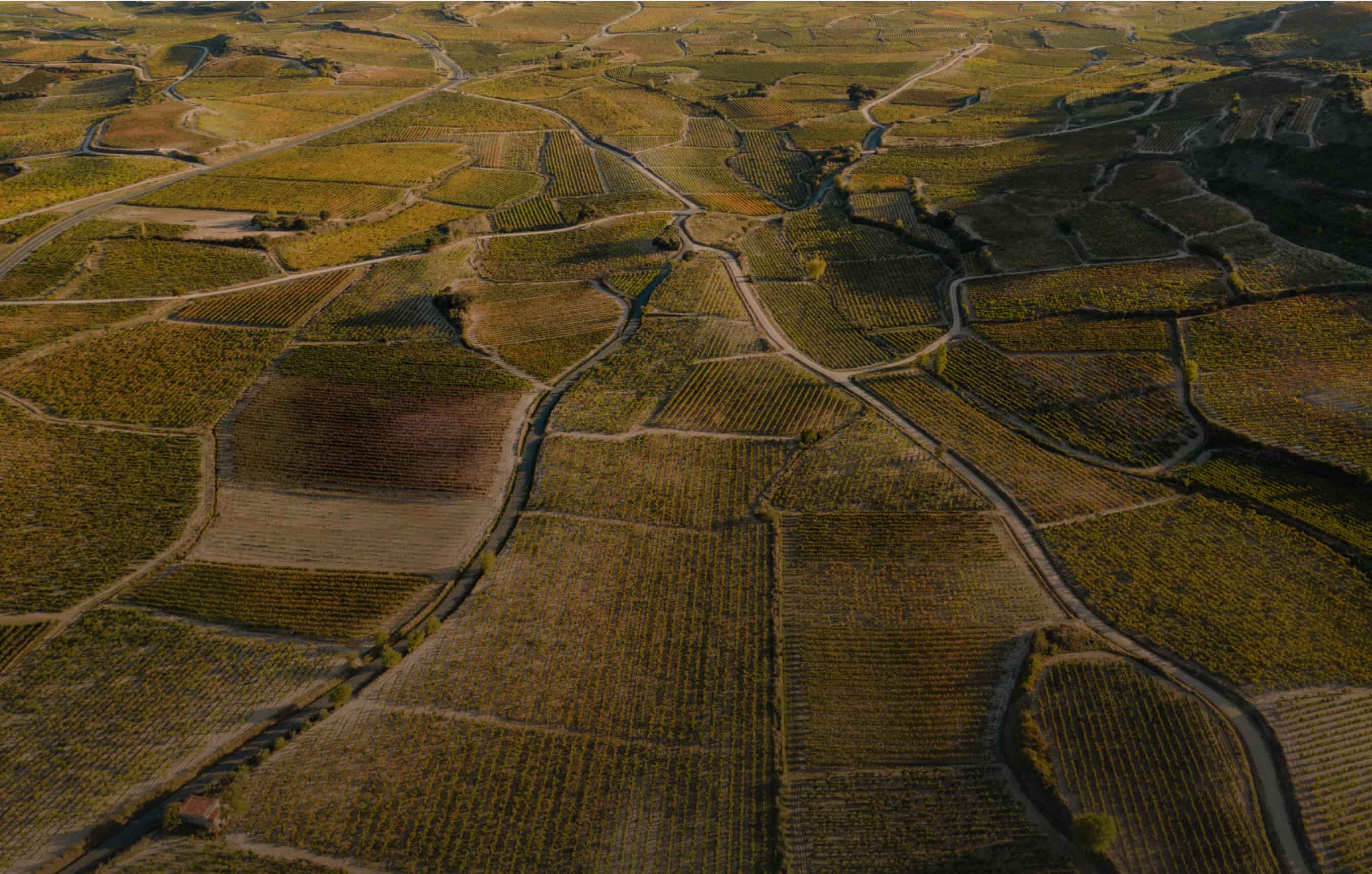 Araex Grands es un grupo empresarial de viticultores y bodegas independientes que agrupa bodegas familiares de las Denominaciones de Origen más prestigiosas de España y que lleva más de 25 años llevando el mejor vino español al mundo.
