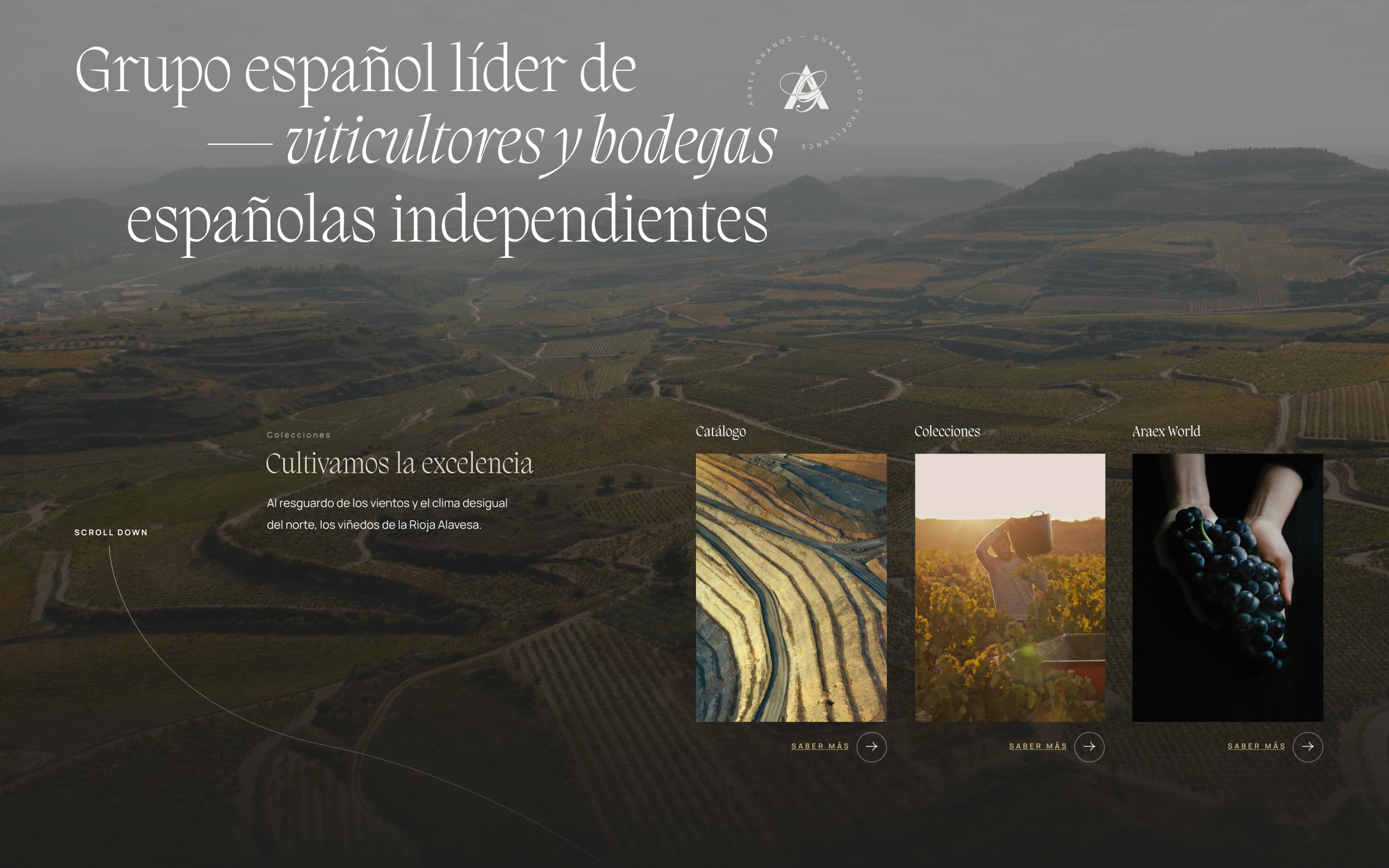 Araex Grands es un grupo empresarial de viticultores y bodegas independientes que agrupa bodegas familiares de las Denominaciones de Origen más prestigiosas de España y que lleva más de 25 años llevando el mejor vino español al mundo.
