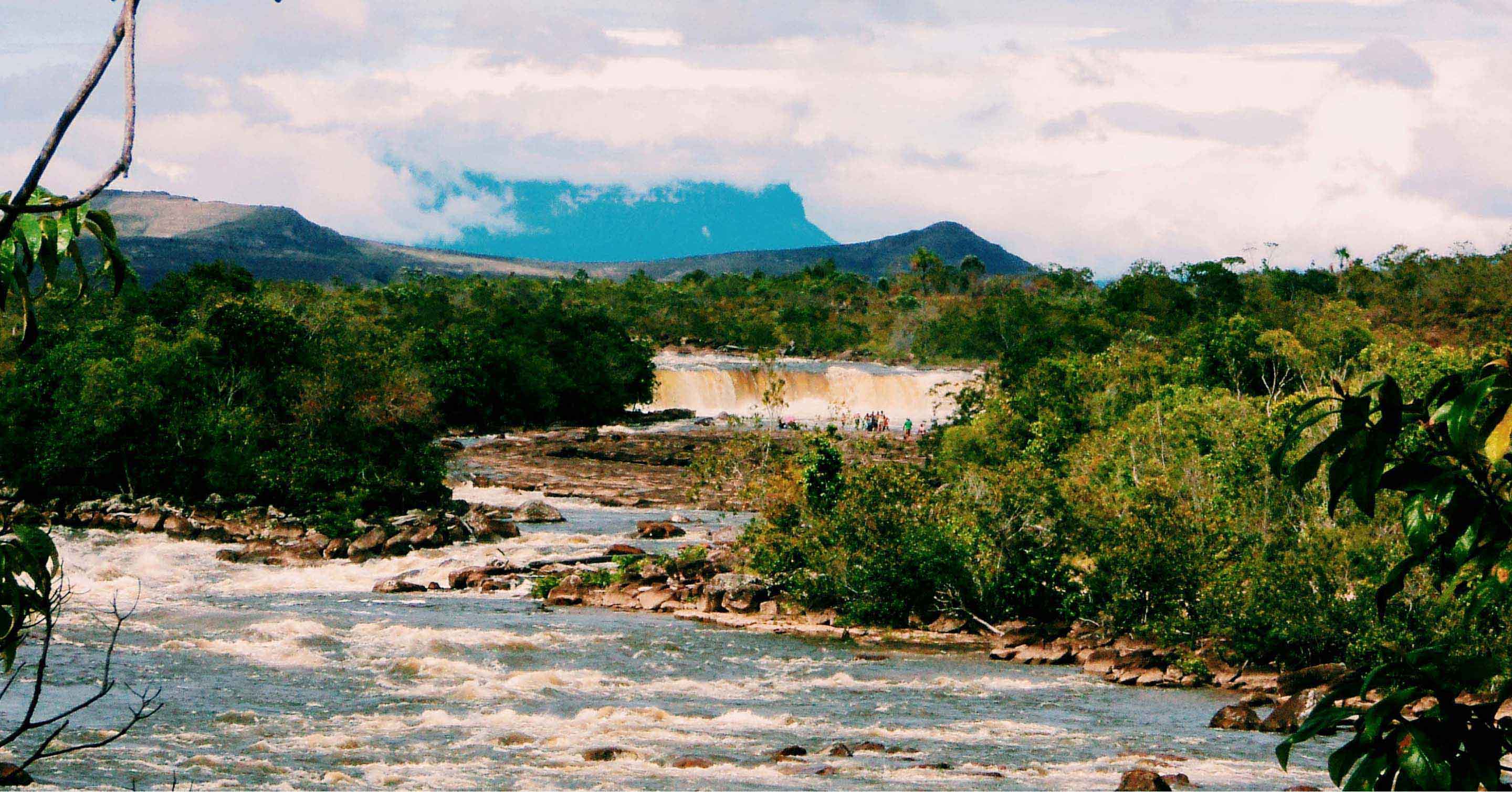 A gin that carries the hidden secrets and legends of the Amazon.  Born in the mysterious depths of this remote territory, and made with unique local botanicals, Canaïma encapsulates the frenzy and wild spirit of the heart of the jungle.
